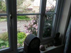 Front clematis through the bedroom window